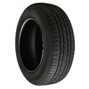 275/55R20 113T NEXEN ROADIAN HTX RH5